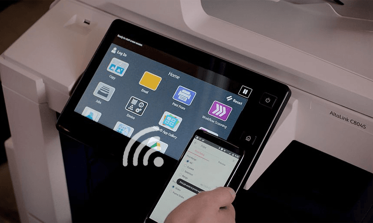 Чистка и профилактика